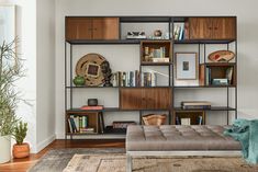 a living room filled with furniture and bookshelves next to a large potted plant