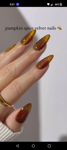 Jelly Velvet Nails, Orange Velvet Nails, Jelly Nails Fall, Amber Jelly Nails, Amber Cat Eye Nails, Fall Velvet Nails, Jelly Fall Nails, Gold Velvet Nails, Gold Jelly Nails