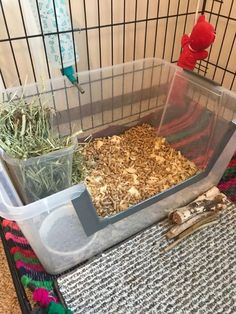 a cage filled with lots of different types of plants and birdseeds in it