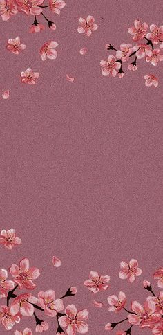 a pink background with cherry blossoms on it