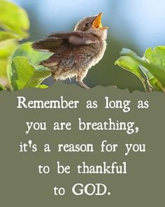 a bird sitting on top of a tree branch with the words,'remember as long as you are breathing it's a reason for you to be grateful to god