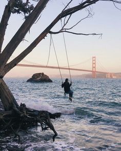 a man is swinging from a tree near the water with a bridge in the background