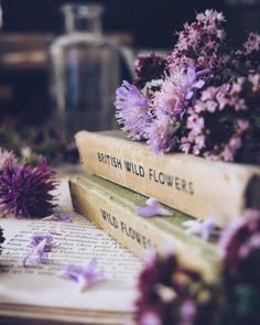 two books with flowers on top of them