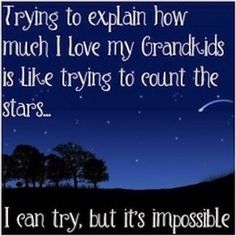 a poster with an image of trees in the background and text that reads, trying to explain how much i love my grandkids is like trying to count