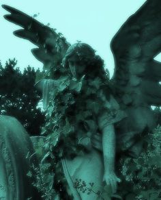 an angel statue surrounded by greenery in a cemetery