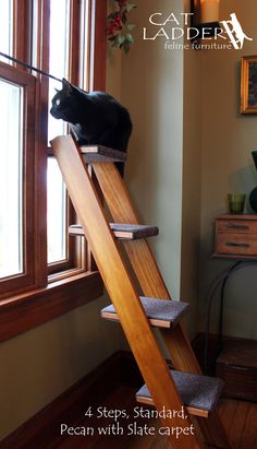 a black cat sitting on top of a wooden staircase