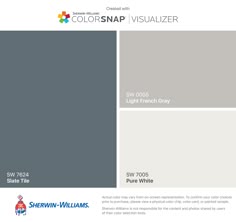 the color scheme is shown in red, gray and white with text that reads colorsnap visualizer