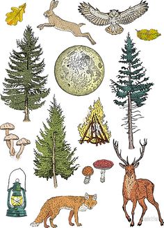 an image of forest animals and mushrooms