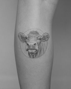 a black and white photo of a cow's face on the calfs leg