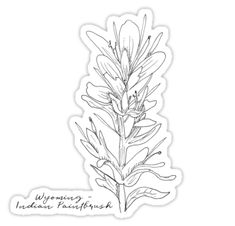 "Indian Paintbrush Wyoming State Flower Illustration" Stickers by JourneyHomeMade | Redbubble Indian Paint Brush Flower Drawing, Indian Paint Brush Flower, Indian Paintbrush Tattoo, Indian Paint Brush, Eco Logo Design, Brush Flower, Illustration Stickers, Eco Logo