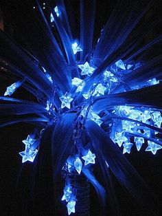 a blue lighted star decoration in the dark