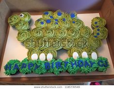 a birthday cake made to look like a turtle