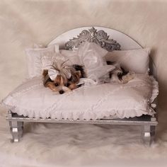 a small dog laying on top of a white bed