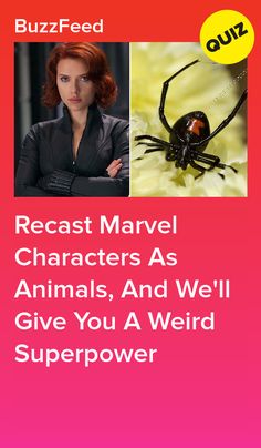 a woman with red hair standing next to a black spider and the caption reads, recast marvel characters as animals, and we'll give you a weird super power