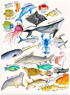 an illustration of marine animals and their names