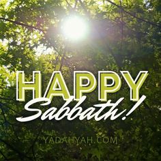 the words happy sabath are in front of some green trees and sunlight shining through them