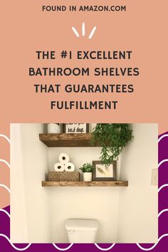 the bathroom shelves are filled with toilet paper and other things to put on them, including plants