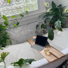 a bathtub with plants and a laptop on it