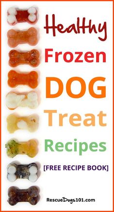 the healthy frozen dog treat recipe book