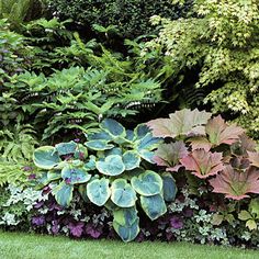 a garden filled with lots of green and purple plants next to each other on top of grass