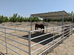 a horse standing inside of a metal pen