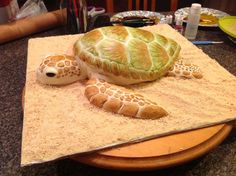 a turtle cake sitting on top of a table