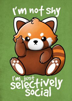 a red panda bear with the words i'm not shy, i'm just selective social