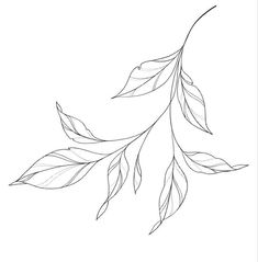 a branch with leaves on it is shown in black and white, as well as the outline