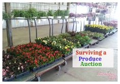 there are many different plants in the planter trays with words saying surviving a produce auction