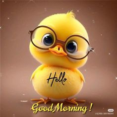 Hello Good Morning, Good Morning Animals, Daily Wishes, Cute Good Morning Images, Good Morning Sunshine Quotes, Good Morning Animation