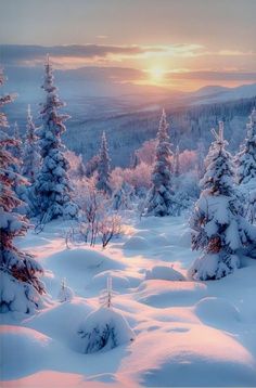 the sun is setting over some snow covered trees