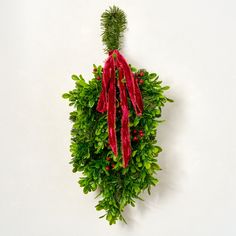 a bunch of green and red plants hanging on the wall