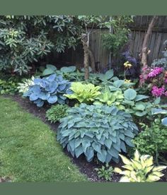 a garden filled with lots of different types of flowers and plants next to a fence