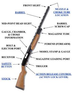 Know your Shotgun By Any Means Necessary, Shooting Sports, Home Defense, Emergency Preparedness, Survival Skills, Tactical Gear, Self Defense, Bushcraft, Defense