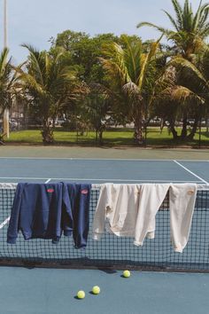 tennis balls and clothes hanging on a racket at the net with palm trees in the background