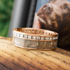 a close up of a dog's bracelet on top of a wooden table next to a photo