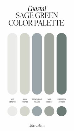 the color palette for coastal sage green