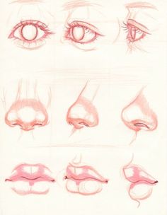 a drawing of different types of eyes and lips