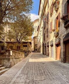 an empty cobblestone street with stone buildings and trees on either side in the city