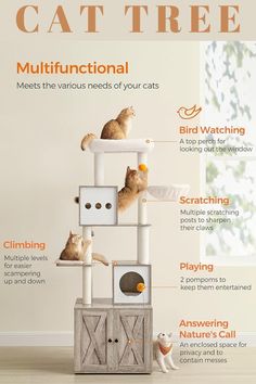 a cat tree with instructions on how to use it