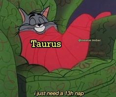 a cartoon cat laying on top of a green chair with the caption taurus i just need a 13th map