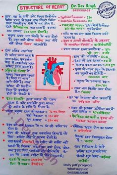 a poster with an image of a heart and the words structure of heart in different languages