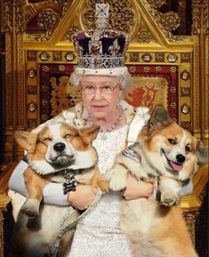 the queen is holding two dogs in her arms