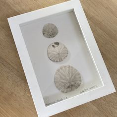 three seashells in a white frame on a wooden table