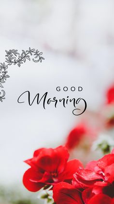 red flowers with the words good morning written on it in front of a white background