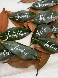 several leaves with names on them are arranged in a circle and placed next to each other