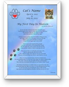 a cat's name is in the sky with paw prints and a rainbow behind it