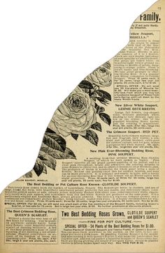 an old newspaper with flowers on it