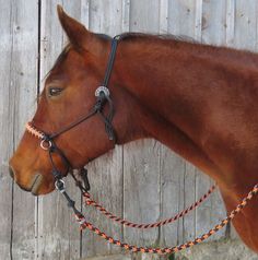 a brown horse wearing a black bridle next to a wooden fence with orange and white braiding