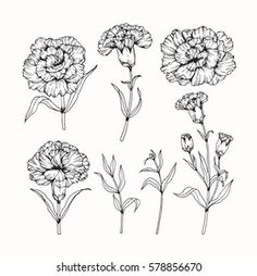 the flowers are drawn in black and white